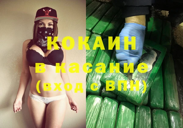 ешки Алексин