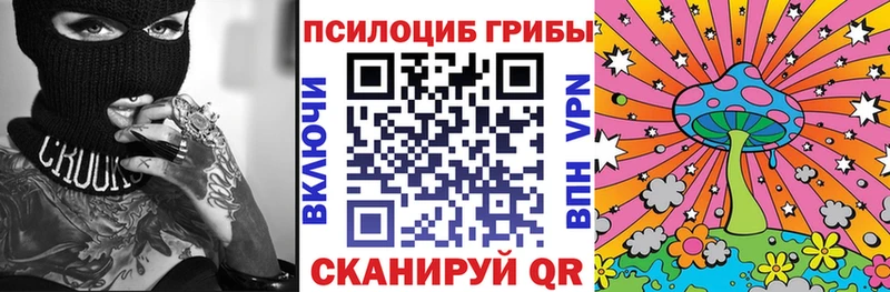 blacksprut рабочий сайт Омутнинск Псилоцибиновые грибы MAGIC MUSHROOMS